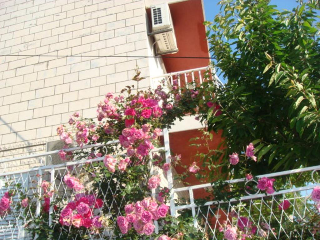 דוברובניק Apartments Lile מראה חיצוני תמונה