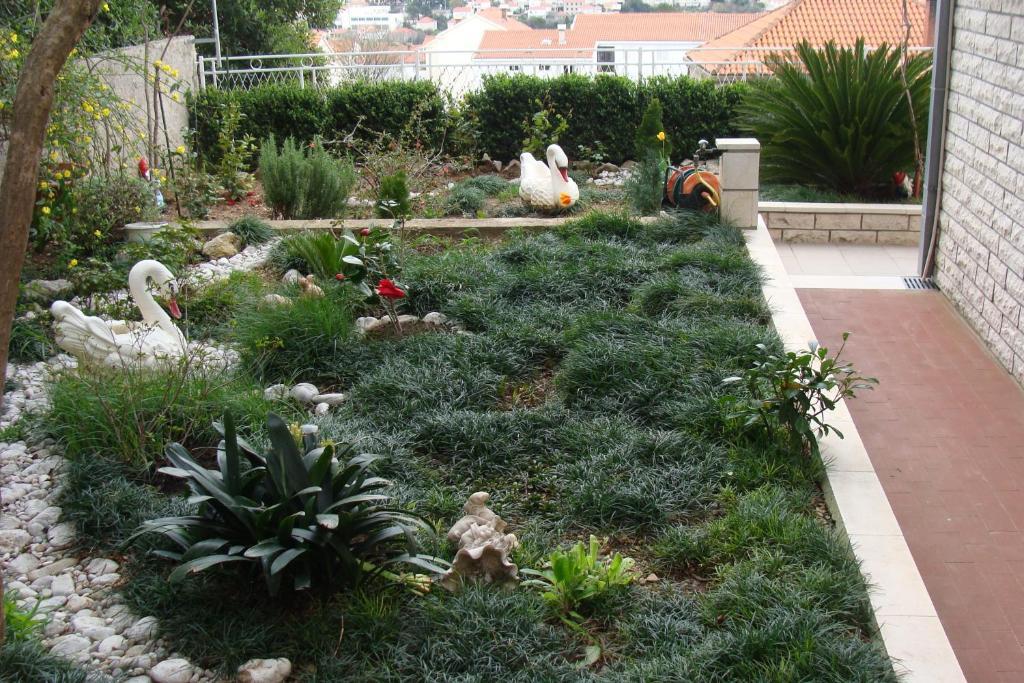 דוברובניק Apartments Lile מראה חיצוני תמונה